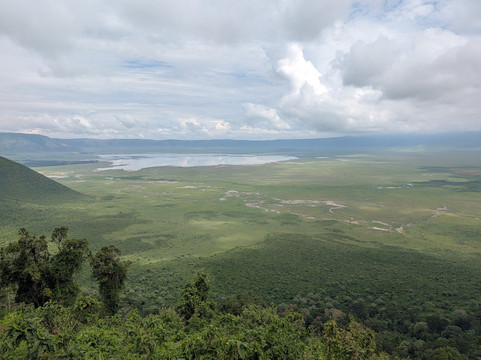 Serengeti Wakanda Tours & Safaris-阿鲁沙必去景点