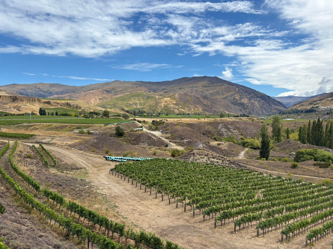 Te Kano Estate-Bannockburn必去景点