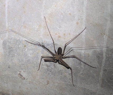 Parque Nacional del Yasuni - Fernando guia en la Amazonia-Coca必去景点