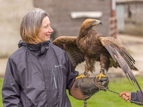 Walks With Hawks-切尔滕纳姆必去景点