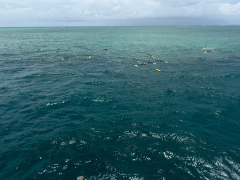 波长礁-道格拉斯港必去景点