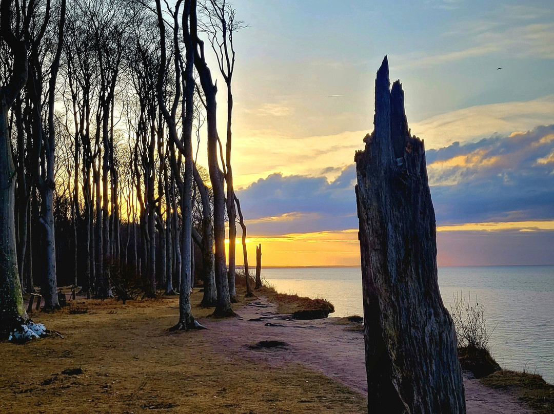 Gespensterwald-Nienhagen必去景点