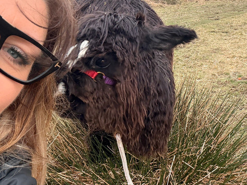 Lydford Gorge Alpacas-Lydford必去景点