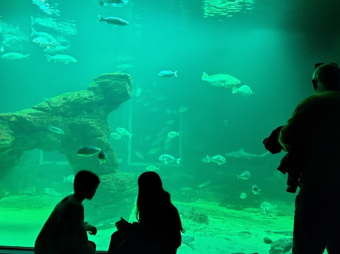 Mercado de la Esperanza-桑坦德必去景点