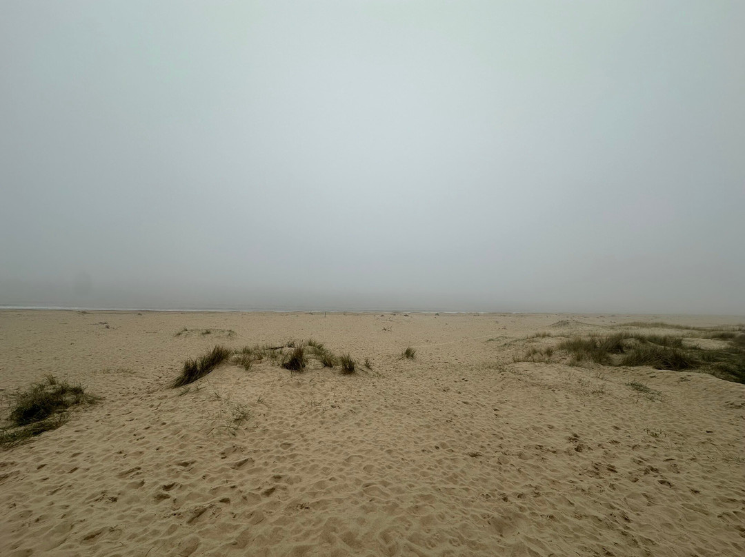 Caister-on-Sea Beach-Caister-on-Sea必去景点