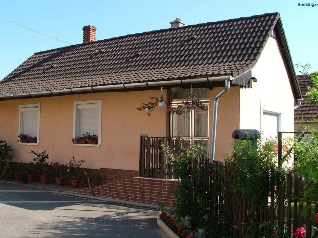 Kovacs Vendeghaz