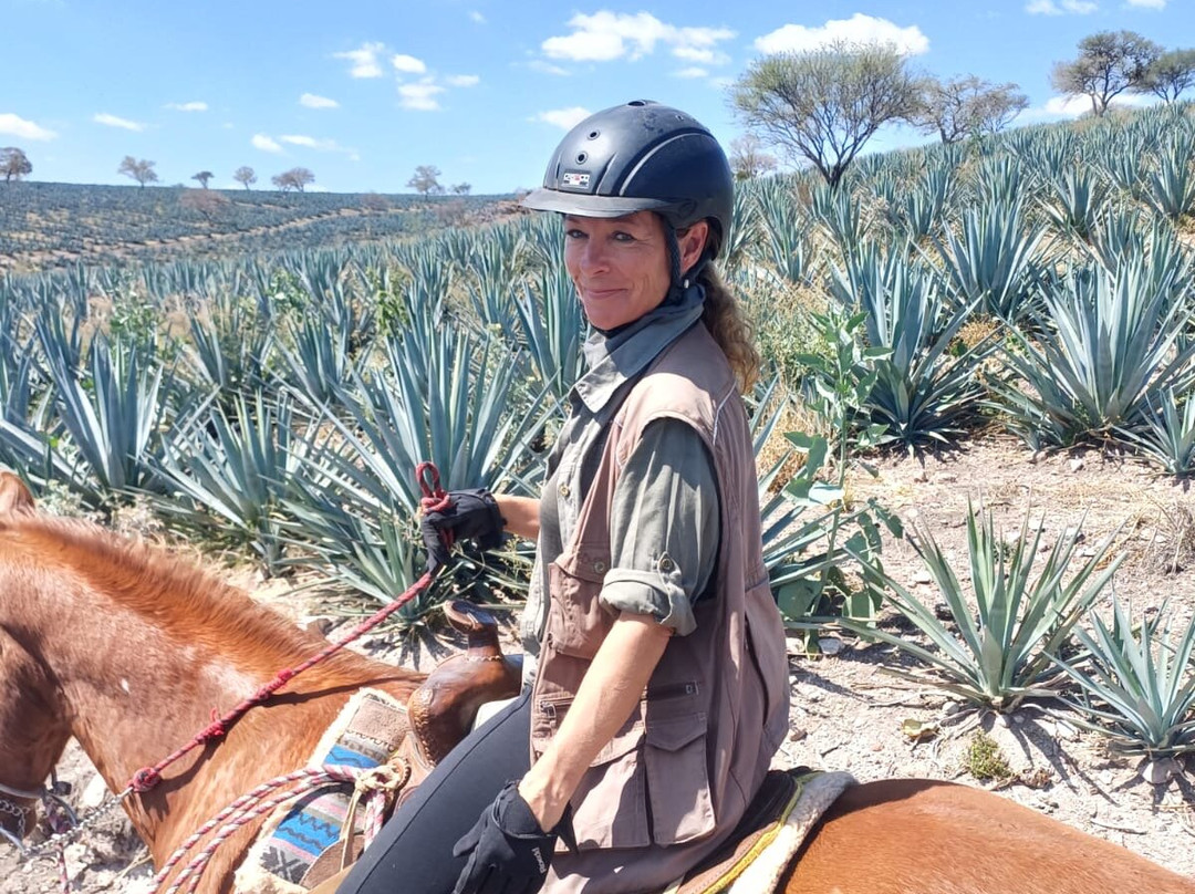 Cabalgatas Las Haciendas Horseback Adventures-Lagos de Moreno必去景点