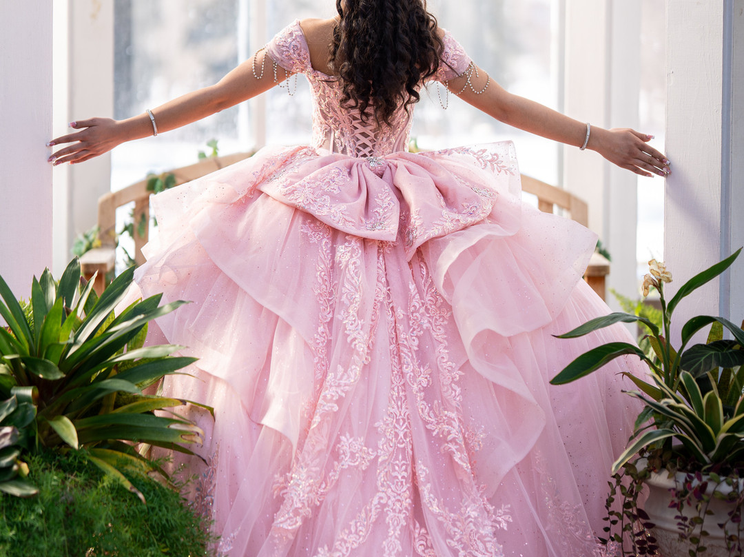 Garfield Park Conservatory & Sunken Garden-印第安纳波利斯必去景点