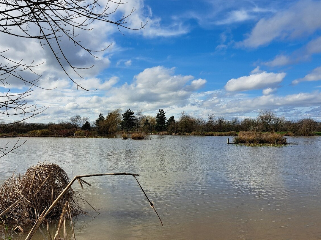 新农场民宿主图