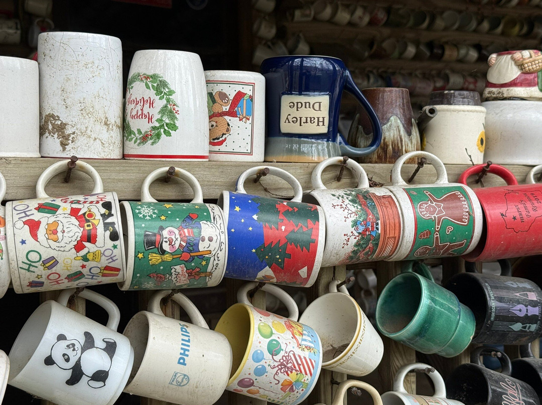 The House of Mugs (The Collettsville Cup House)-Collettsville必去景点