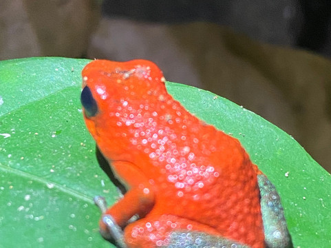 Santa Lucia Falls-乌维塔必去景点