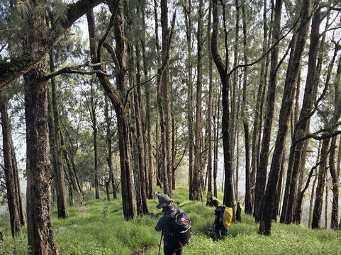 Rinjani Trekking Trip-Senaru必去景点