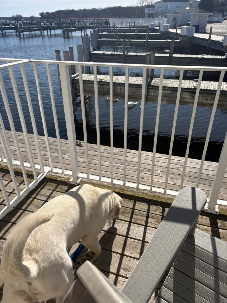 风向标酒店-官方