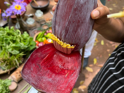 Srilankan Experience Zone-Kundasale必去景点