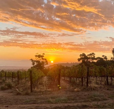 拉拉潘兹旅舍-官方