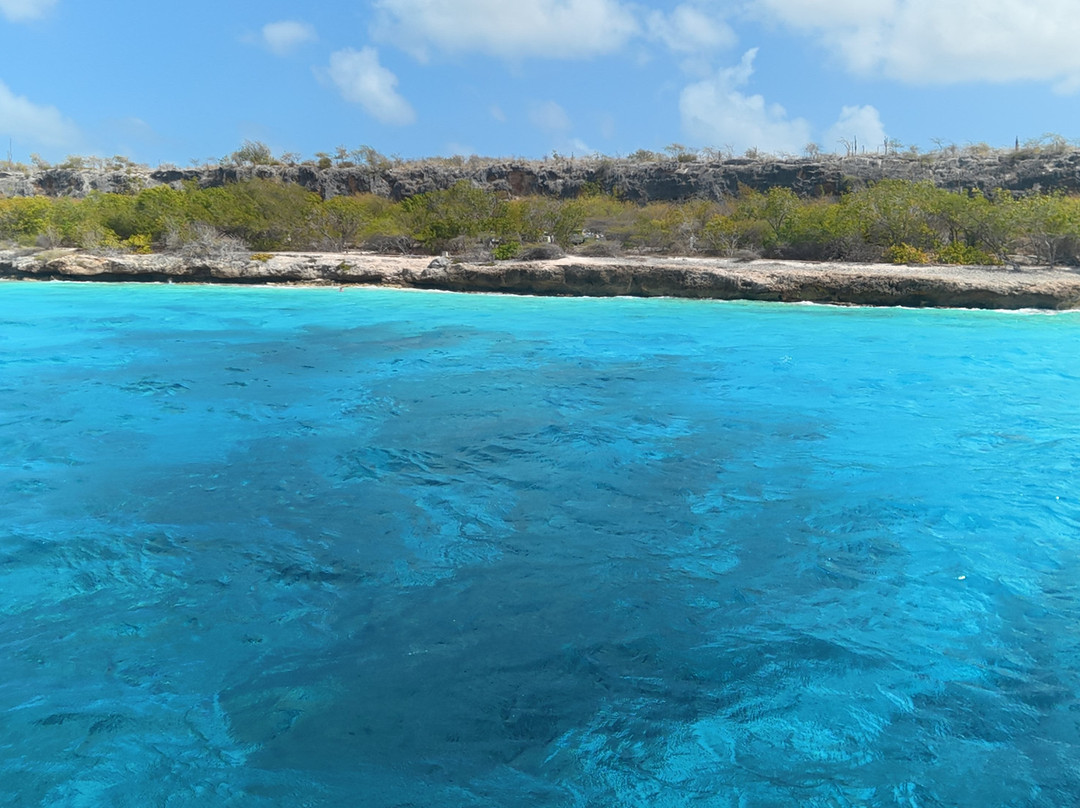 Wannadive Bonaire-Kralendijk必去景点