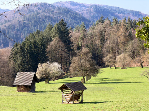 Panoramaweg-巴登巴登必去景点