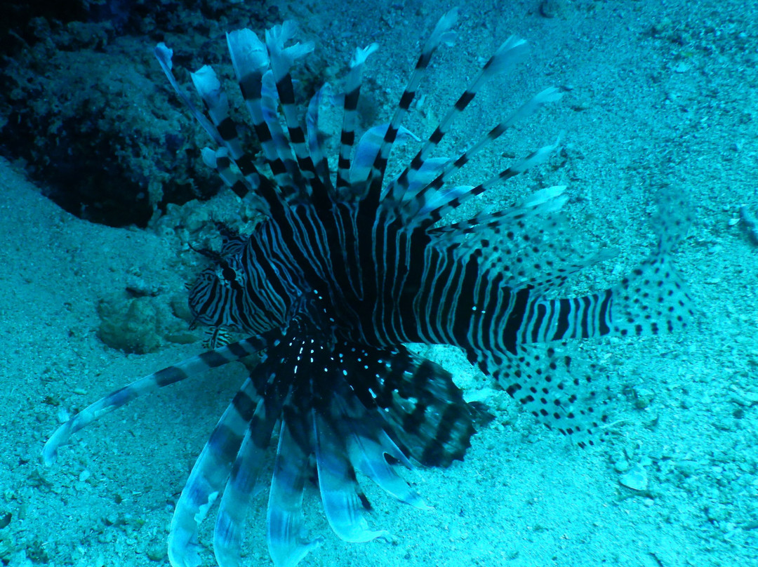 Uepi Island Resort主图