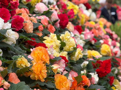 Christian's Bus Co.-Ocean Grove必去景点