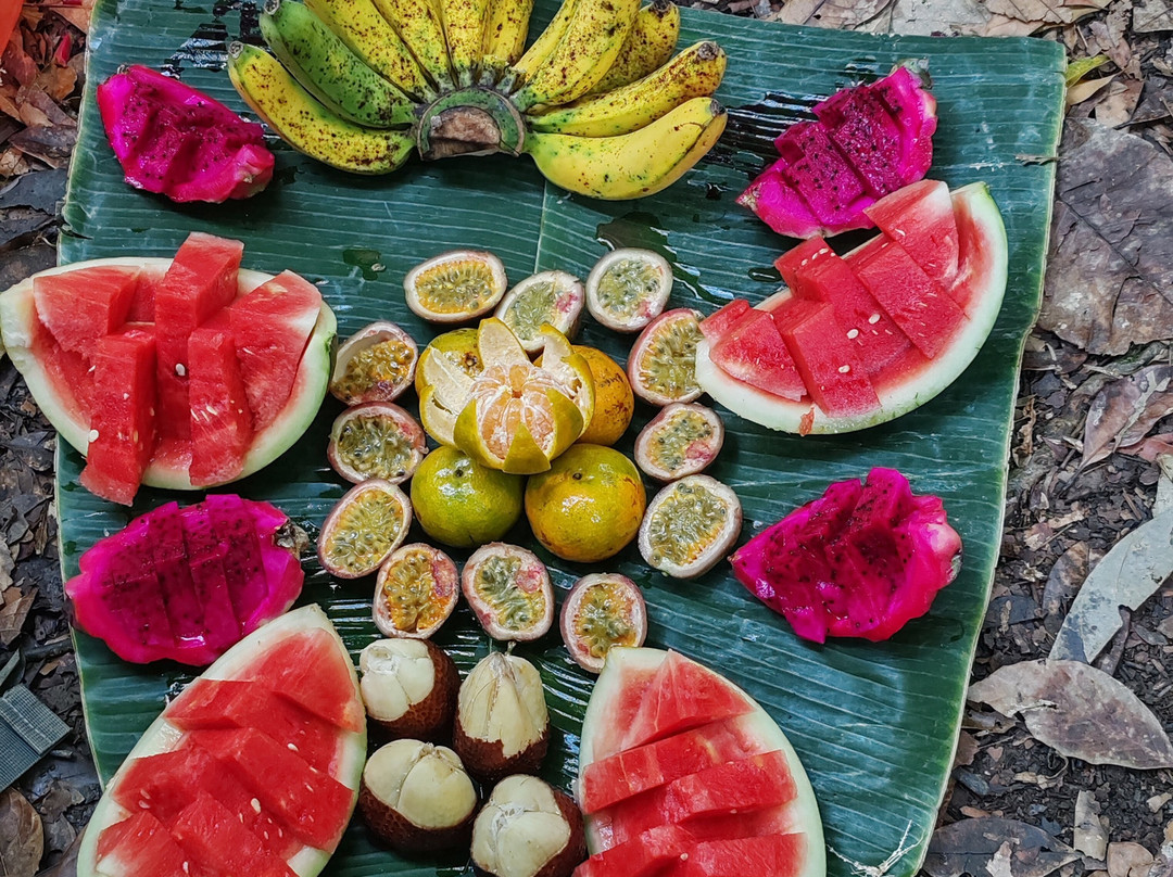 Bukit Lawang Jungle Trekking-武吉拉旺必去景点