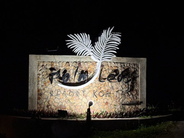 棕榈叶度假村-官方