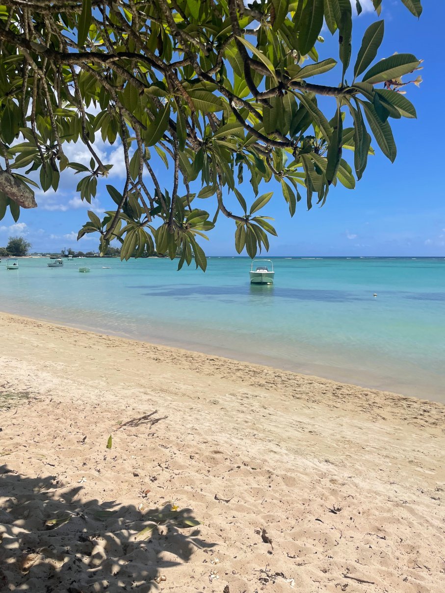 托帕拉迪斯旅馆-官方