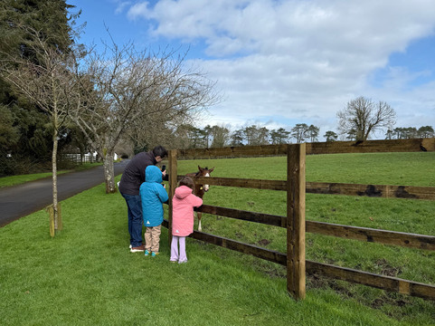 Glenbeg Tours-戈尔韦必去景点