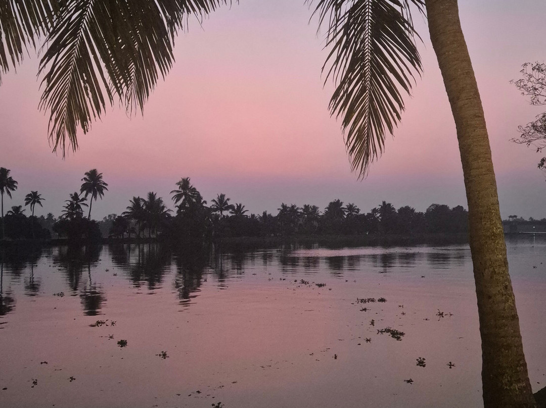 库瑞阿拉切瑞屋家庭旅馆主图