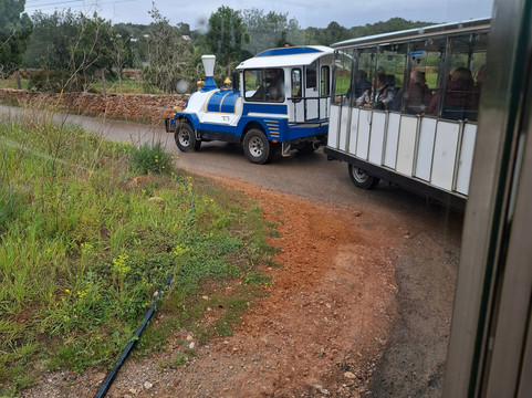 The Ibiza Express-埃斯卡纳尔必去景点