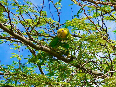 Horse Ranch Bonaire-Kralendijk必去景点