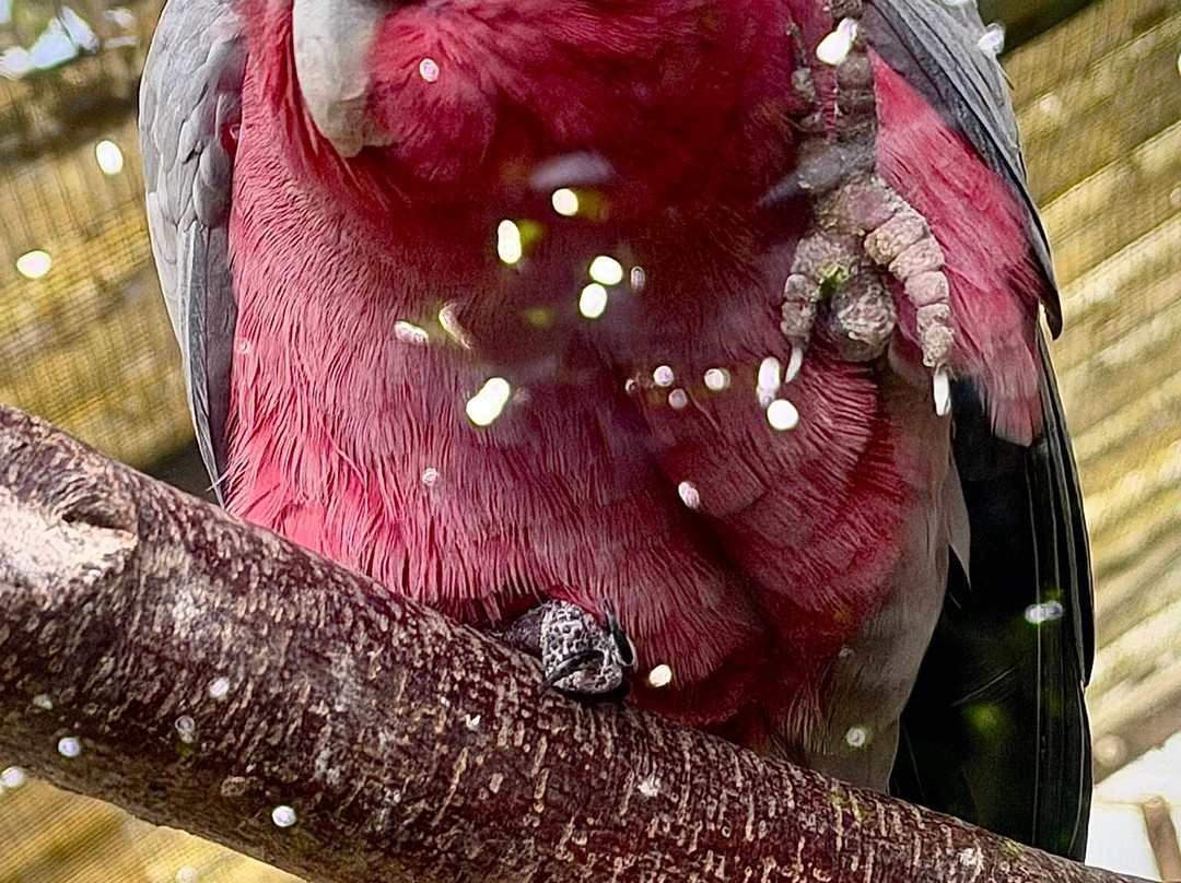 Le Refuge de l'Arche-Chateau-Gontier必去景点