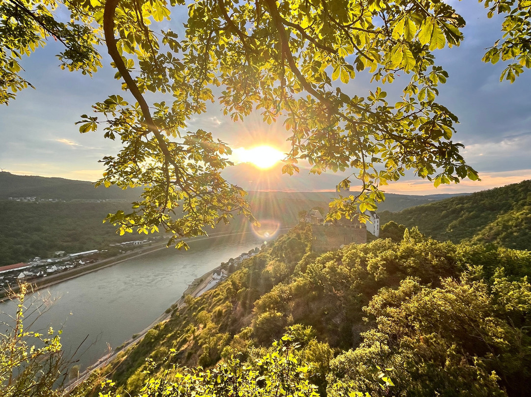 Hotel Castle Liebenstein主图