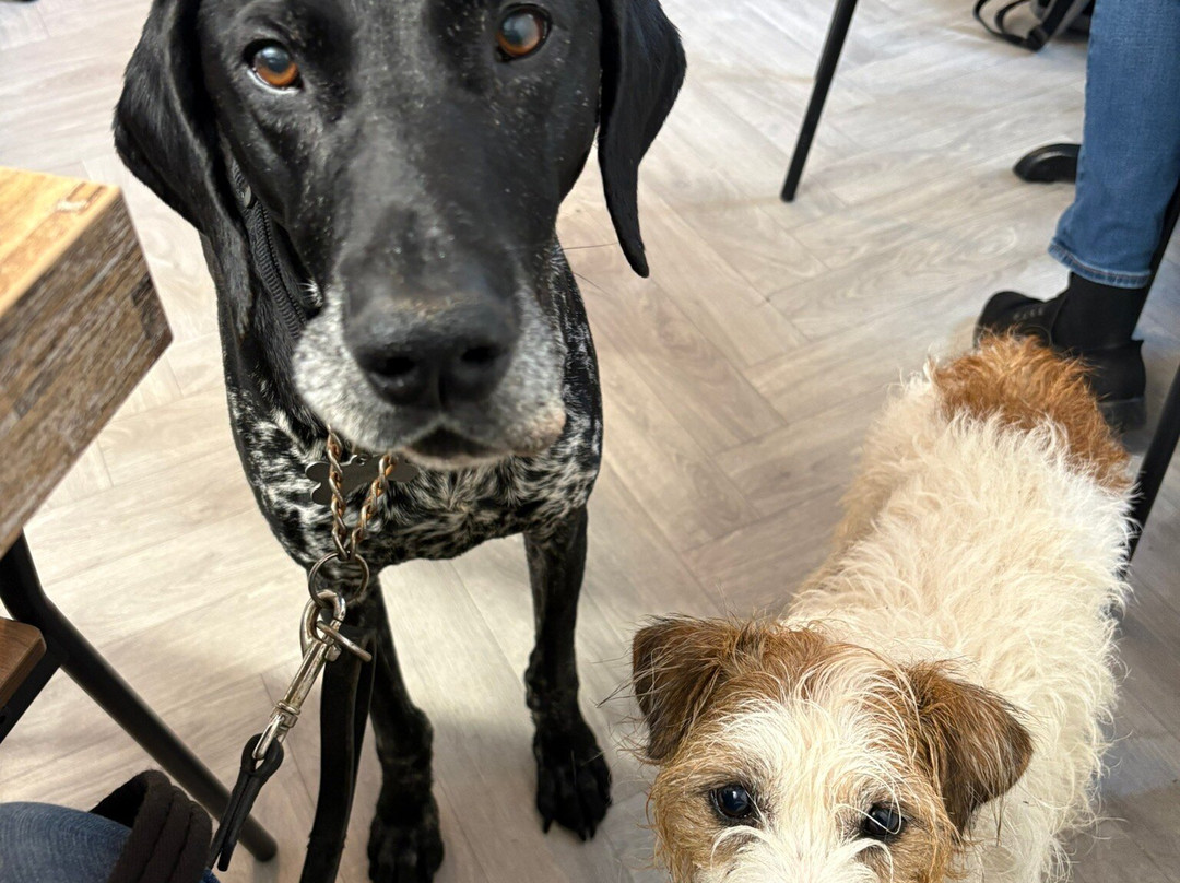 Browns Bakery & Cafe