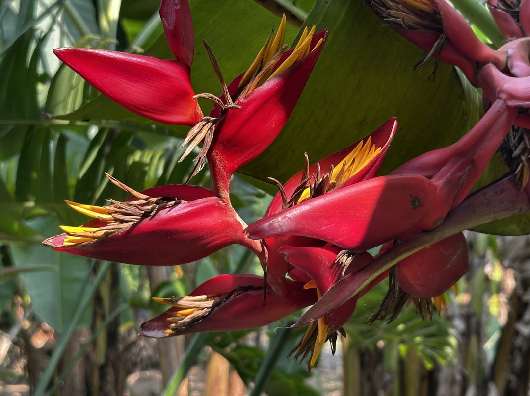 温德米尔河之家旅馆主图