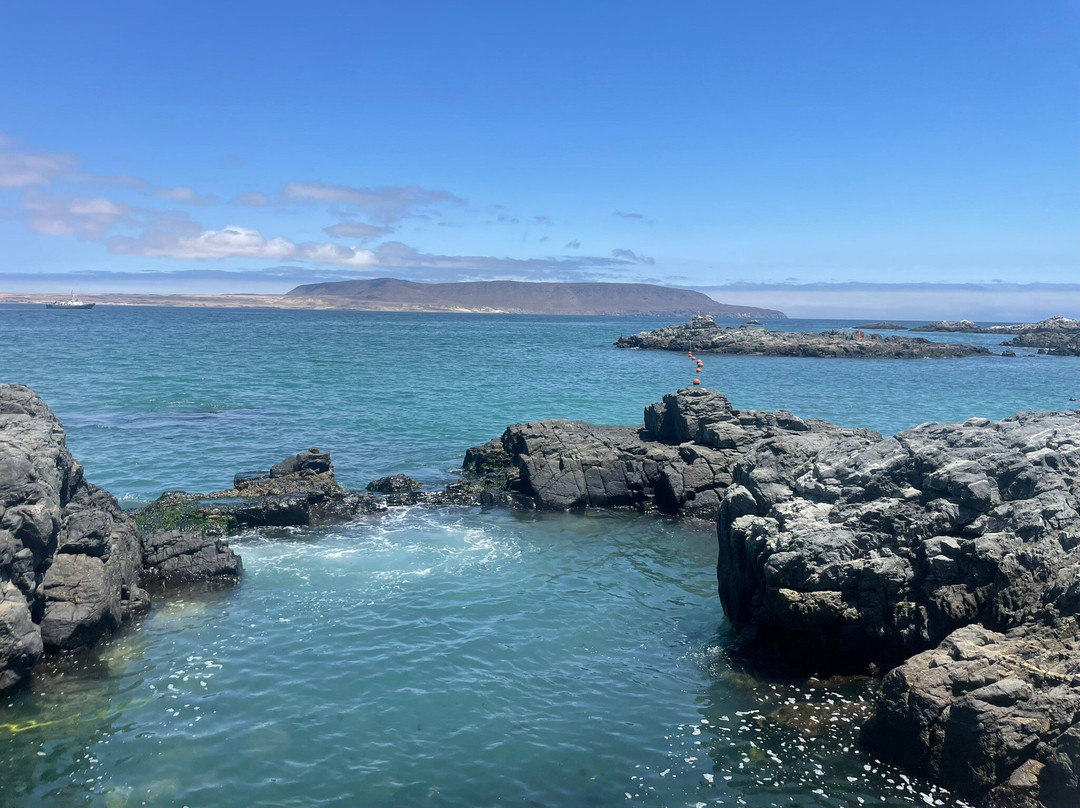 Bahia Inglesa-Copiapo必去景点