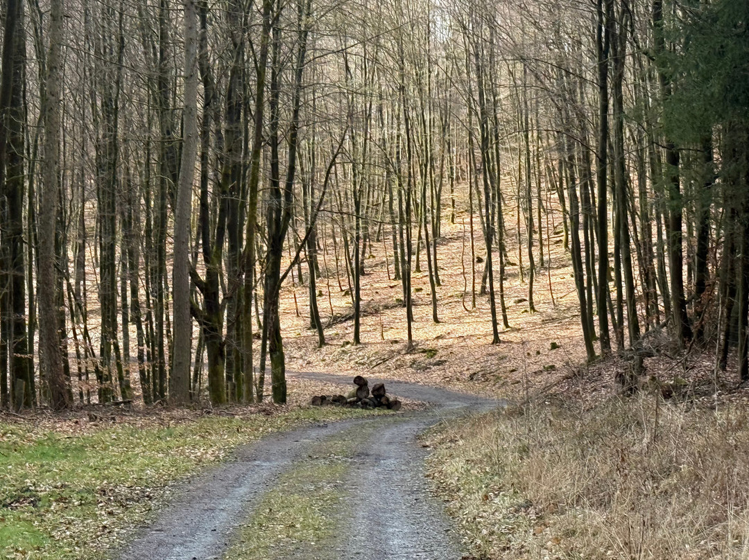 Fletcher Hotel-Restaurant Arnsberg-Sauerland主图