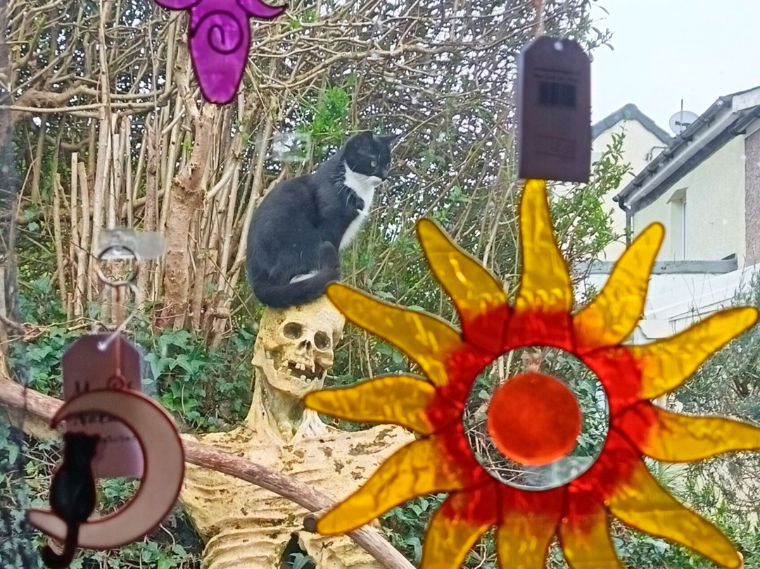 Morbitorium-卡菲利必去景点