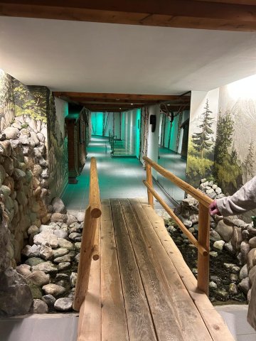 普林茨露博德酒店-泳池