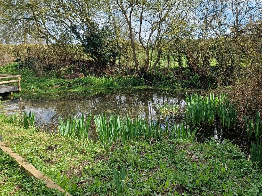 Softwell  Nature Reserve-马基特哈伯勒必去景点