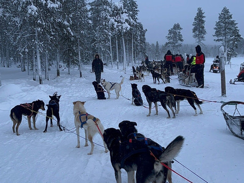 拉普兰之旅-撒利塞卡必去景点
