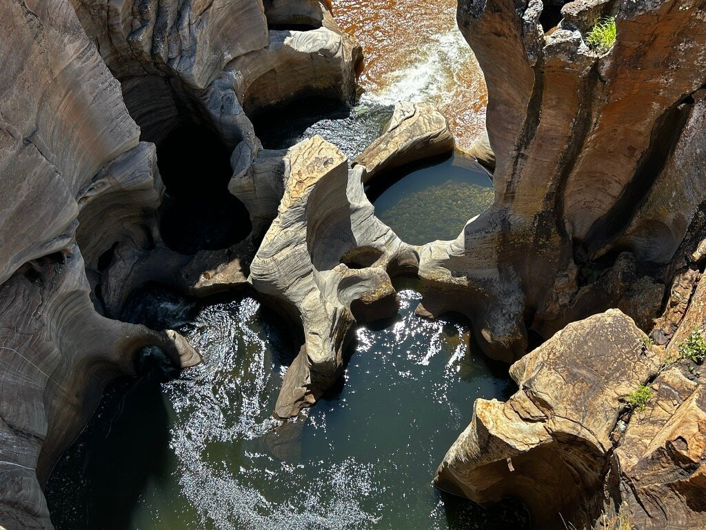 Kurt Safari-克鲁格国家公园必去景点