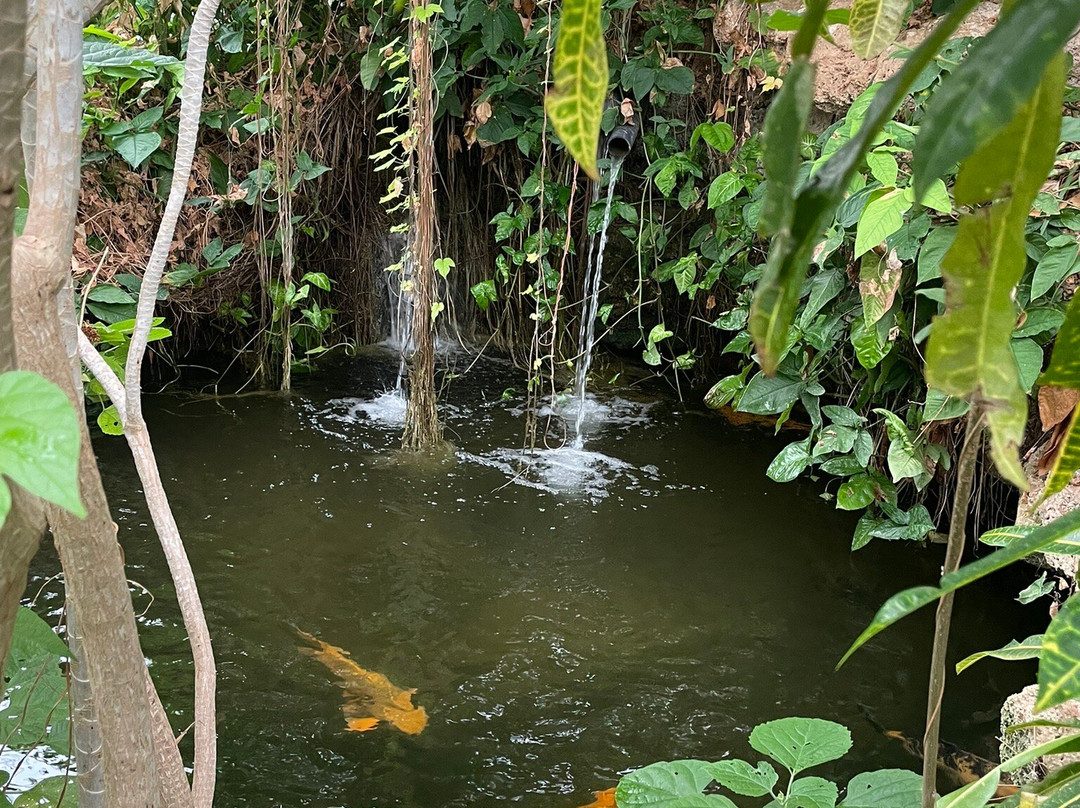 Tropical World-利兹必去景点