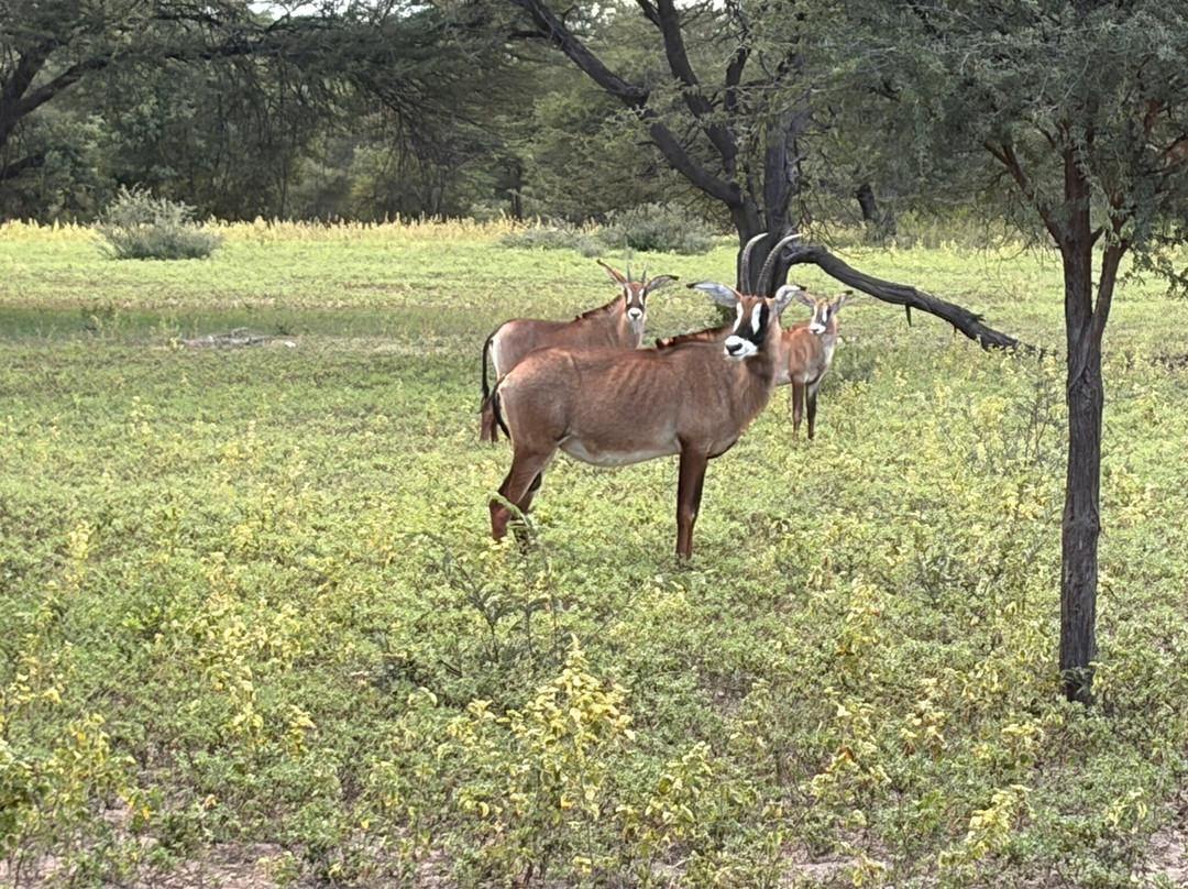 Wildacker Guestfarm主图