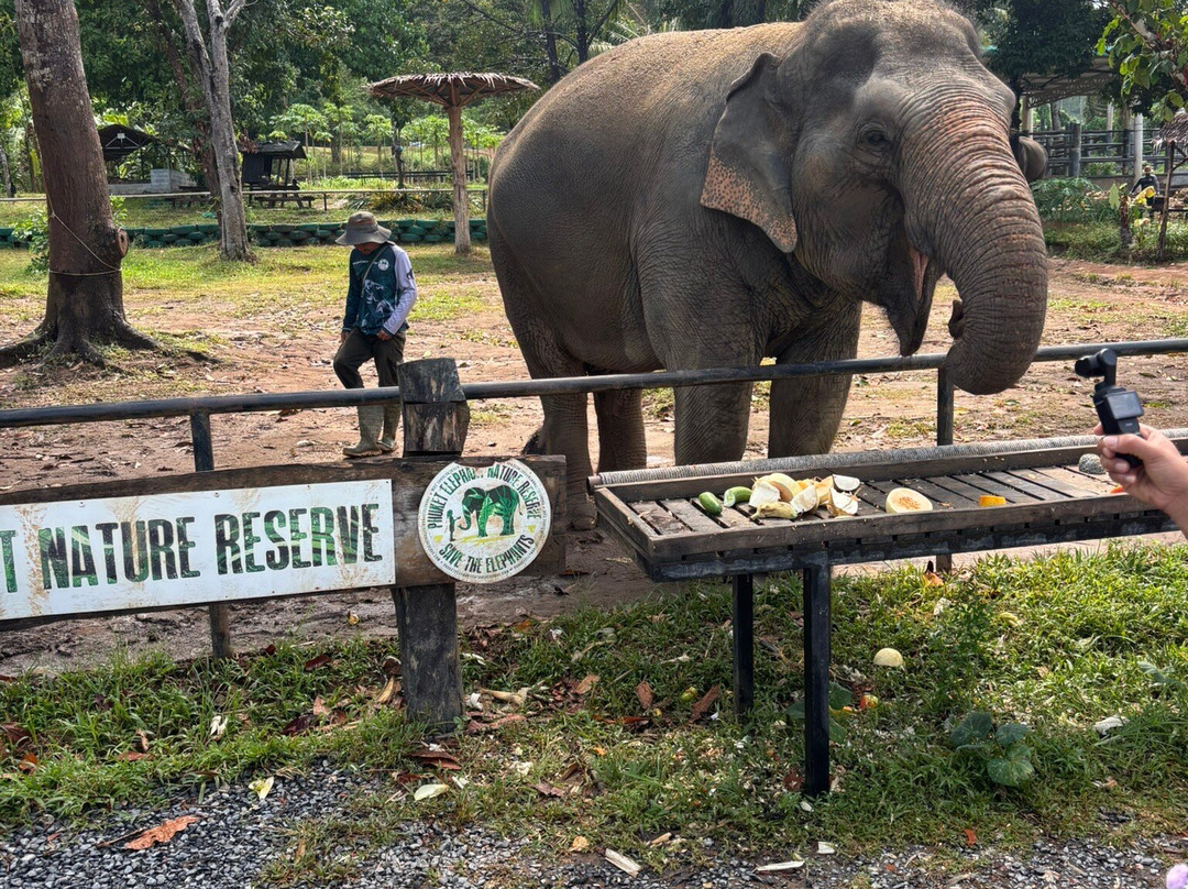 Phuket Elephant Nature Reserve-他朗必去景点