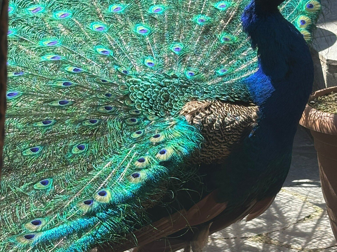 Old Town Sheki主图