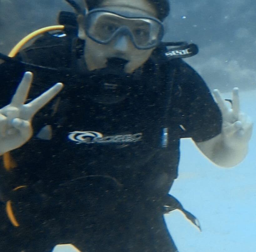 Dive Spirit Mauritius-卓欧毕雪必去景点