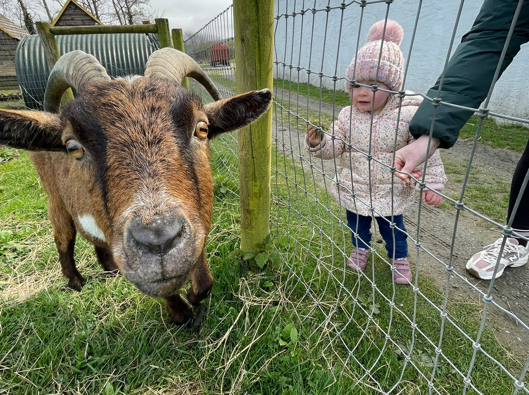 Sandy Feet Farm-Camp必去景点