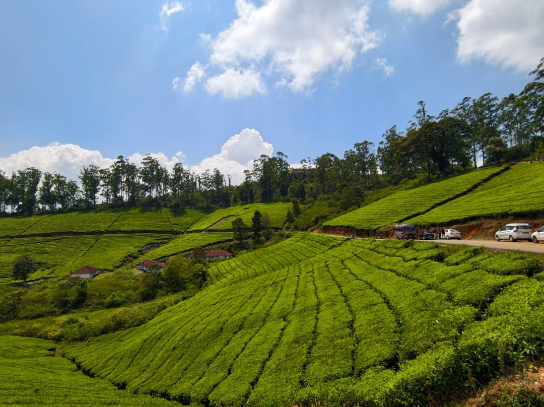 Meghamalai - High Wavy Mountains-Theni必去景点