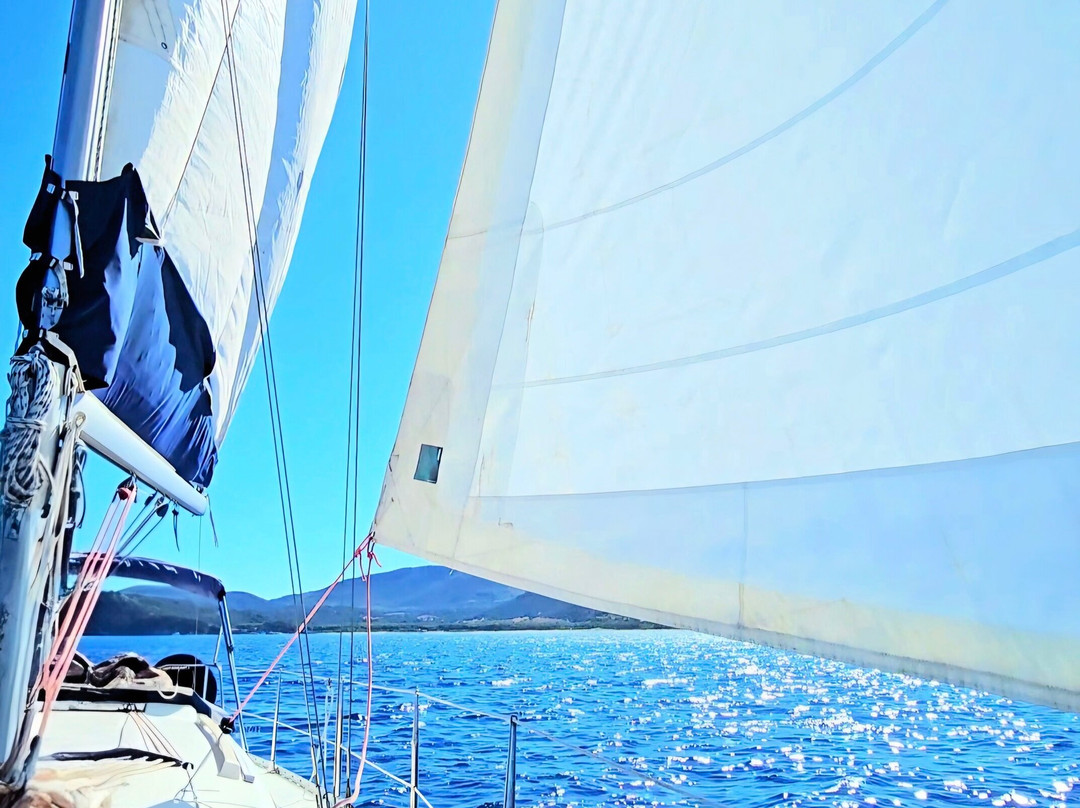 Tomorrowsea | Escursioni In Barca A Vela-Castiadas必去景点