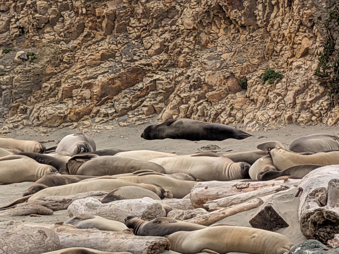 Point Reyes National Seashore-Point Reyes Station必去景点